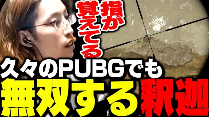 ハイパーゲーム大会に向け、PUBGを久々にプレイする釈迦【PUBG】