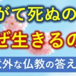 かならず死ぬのに生きる意味はあるのか？【意外な釈迦の答え】