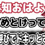 おじじを本名呼びでドキッとさせる橘ひなの【valorant 切り抜き ボドカ ありけん CR おじじ ぶいすぽ 英リサ 橘ひなの】