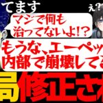 【APEX】アプデが入るもバグ修正されず、チーターが野放しにされているエペの現状を語る【ハセシン/ボドカ/Kamito/切り抜き】