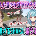 過去に因縁のあるぶいすぽメンバーと遭遇し必死で逃げるSHAKA【VCR/スト鯖RUST】