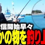 釣り配信開始早々、○○を釣り上げる釈迦