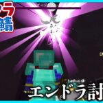 こんだけ人いたら死なんやろ！マイクラ健康鯖エンドラ討伐編【#らっだぁ切り抜き】