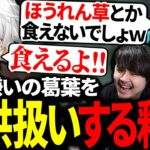 釈迦たちに子ども扱いされて謎の反論をし始める葛葉【にじさんじ/切り抜き】