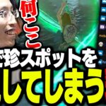 初見で珍スポットを発見してしまう釈迦【ゼルダの伝説 ティアーズ オブ ザ キングダム】