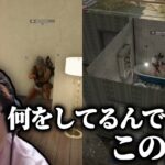 【UNCUP】カスタム主催者の芋りムーブに呆れる恭一郎  (2023/06/03)