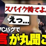 最悪のバグによって味方の暴言が聞こえてしまい、ガチ効きするありけん【ありけん/高木/ボドカ/VALORANT/切り抜き】