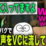 【雑談】ゲーム内バグでリスナーと喋っている音声を気付かずVCに流してしまうじゃす【じゃすぱー切り抜き】