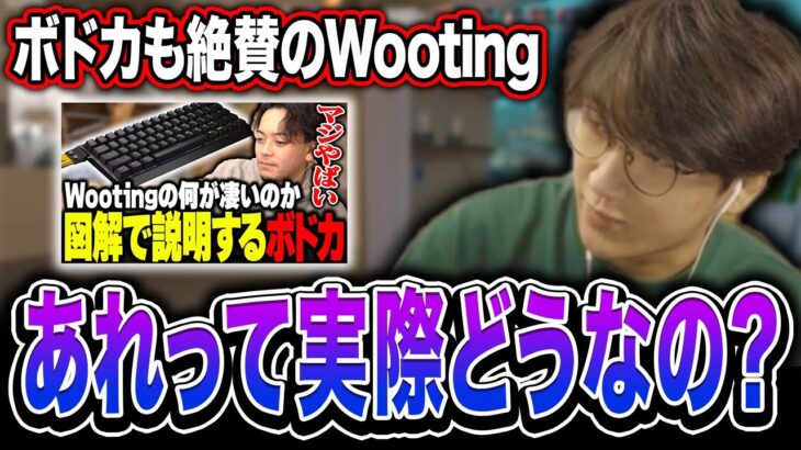 ボドカも絶賛した話題のWootingについて触れるじゃすぱー【切り抜き/じゃすぱー/Valorant】