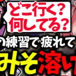 あまりにも酷い過ぎるプレイにボドカとsellyに怒られる赤見かるび【赤見かるび/ボドカ/白雪レイド/Selly/するがモンキー/makiba/切り抜き】【CRカップVALORANTスクリム】