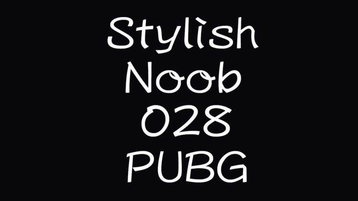 [PUBG] StylishNoob集 028