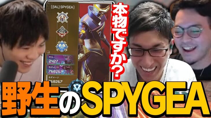 【いつも見てます】ボドカさんとランクを回していたら野良のSPYGEA(本物)と奇跡的にマッチする【ApexLegends】