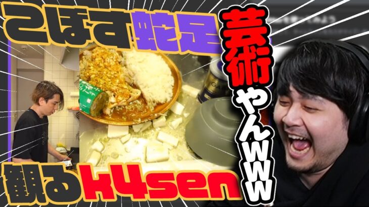 【観る回】味噌汁をひっくり返す蛇足を観るk4sen