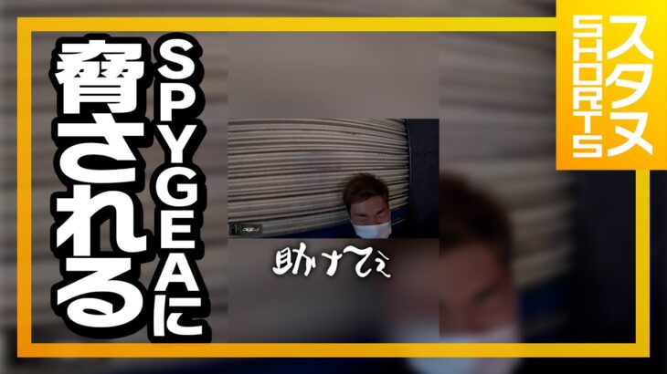 リアルでSPYGEAに脅されるスタヌ #Shorts