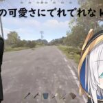 アルスの可愛さにでれでれなk4sen[アルス・アルマル/RUST/切り抜き]