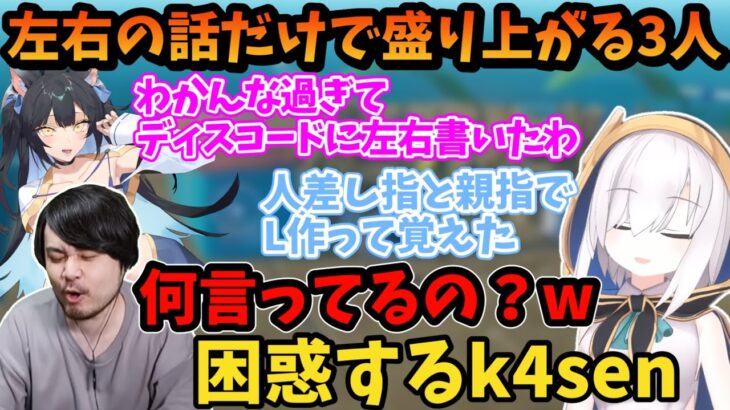 左右(LR)の話だけで盛り上がる仲良しな3人【にじさんじ/切り抜き/アルス・アルマル/k4sen/夜よいち】