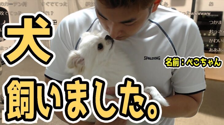 関優太「犬飼い始めました」【2022/8/18】