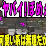 【APEX】ポメラニアン鈴木に爆笑するk4sen 【2022/08/12】