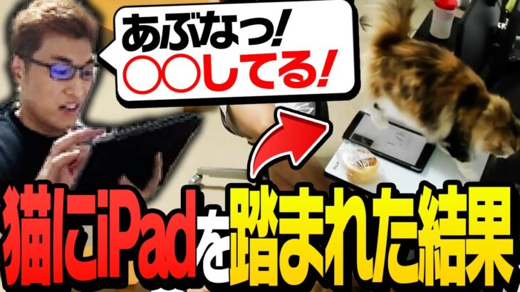 PCデスクの上のiPadを猫に踏まれた結果