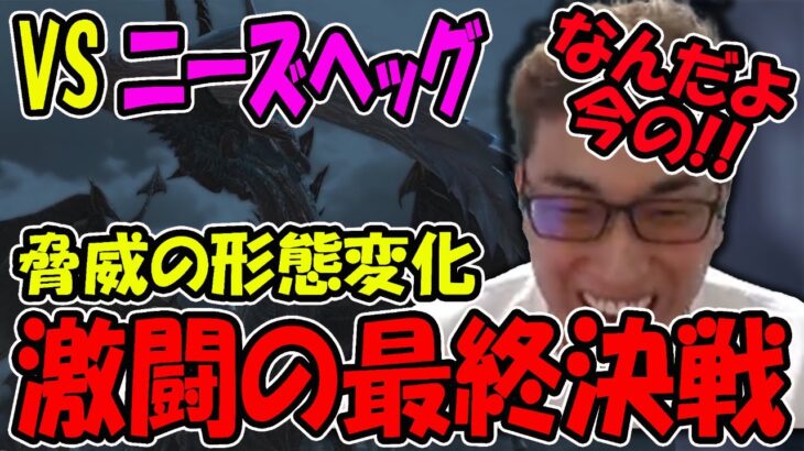 【FF14】ニーズヘッグ征竜戦！最終決戦でもやはりボコボコにされる関さん【関優太/スタヌ/切り抜き】