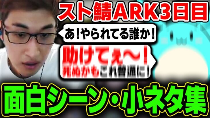 【スト鯖ARK】動画に上がらなかった3日目面白シーン/小ネタ集【スタヌ切り抜き / 関優太 / きなこ / 魔界ノりりむ / エビオ / すもも / そらる】