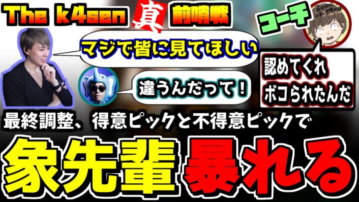 【The k4sen 真・前哨戦】本番直前の最終調整、二つの意味で暴れる象先輩【切り抜き/らいじん/k4sen/釈迦/しゃるる/たぬき忍者/UG/なぎさっち/象先輩/葛葉/うるか】