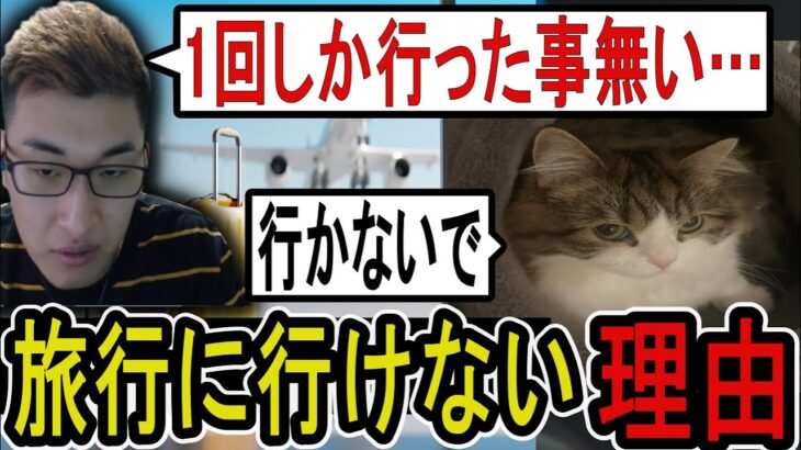 愛猫を置いては旅行に行けない関優太【関優太/切り抜き/スタヌ】