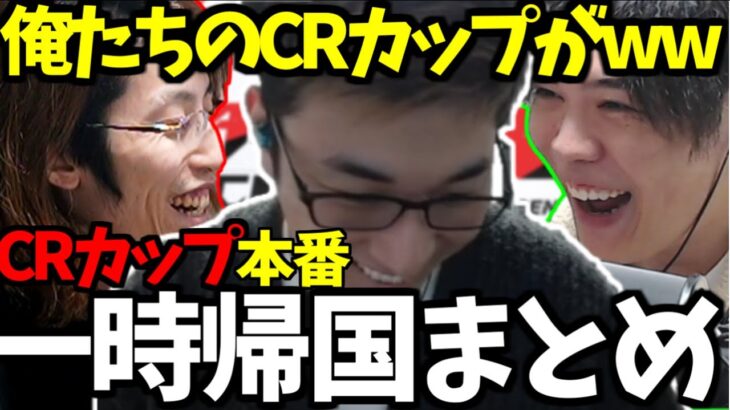 【3BR】関優太x釈迦xスパイギアのCRカップ本番まとめ【Apex Legends】【関優太 切り抜き】一時帰国