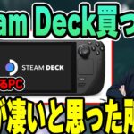 【雑談】「持ち運びできるPC」Steam Deckについて話すk4sen【2022/12/30】