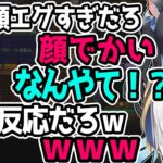 k4senとよいちの顔発言に過剰反応するアルスに爆笑するよいち【テラリア/夜よいち切り抜き】