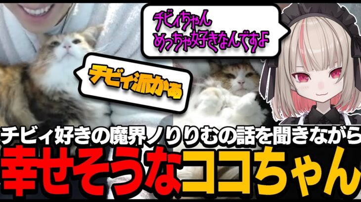 【猫】チビィ好きな魔界ノりりむの話を聞きながら1日ぶりの優太に甘えるココちゃん【関優太/魔界ノりりむ/切り抜き】