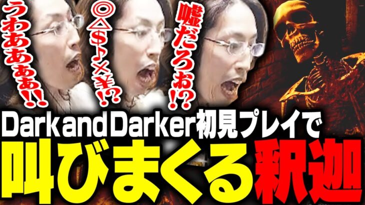 今話題のPvPvEアクションゲーム初プレイで叫びまくる釈迦【Dark and Darker】