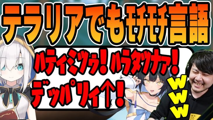 【テラリア】焦ってﾓﾁﾓﾁ言語が出るアルスに笑うk4sen 【2023/1/16】