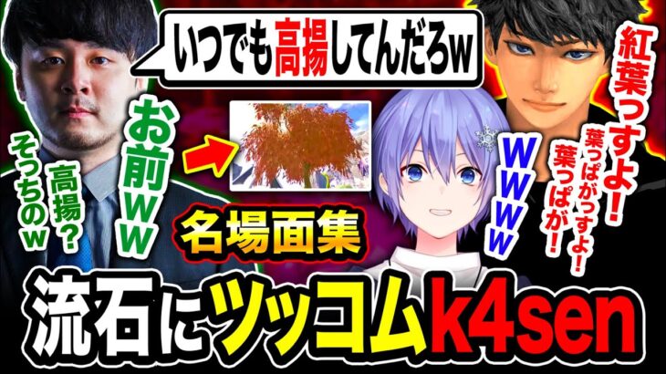 【爆笑】k4senが常に高揚状態のハセシンにマジツッコミを入れる瞬間www面白い名場面集！【ハセシン】 k4sen, 白雪レイド, Apex Legends