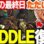 【スト鯖GTA】最終日にRIDDLEへ復帰し感動の最終日を過ごす渋ハルたちが面白すぎたｗｗｗ【渋谷ハル/ボドカ/うるか/nqrse/VanilLa/ありけん/夜よいち/ラトナプティ/切り抜き】