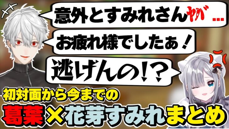 葛葉×花芽すみれの初対面から今までの絡みまとめ　[にじさんじ/葛葉/すみー/切り抜き]