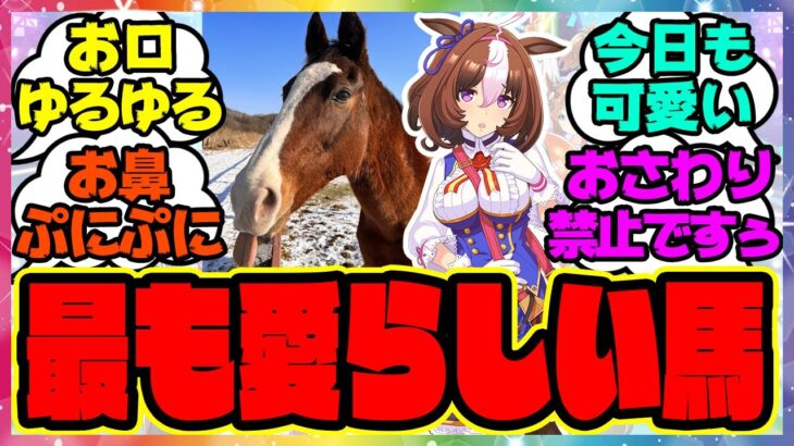 『最も愛らしい馬論争がしたい』に対するみんなの反応 まとめ ウマ娘プリティーダービー レイミン メイショウドトウ