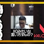 偽XQQ #Shorts【VALORANT/ヴァロラント】