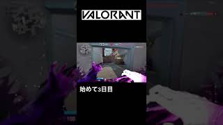 【VALORANT】ヴァロラント始めました！ファントムで3kill キャラはレイナ 日々のClip #Shorts