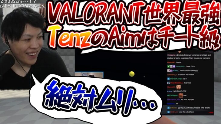 【VALORANT】Aim練習のスパイギア ヴァロラント世界最強TenzのAimLabに驚愕する【2021/06/18】