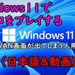 【VALORANT】Windows11でヴァロラントをプレイできない人向け 設定方法 VAN9001 secure boot TPM version 2.0 日本語 動画