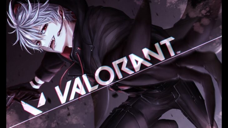 【 Valorant 】 今日も【 ランク 】