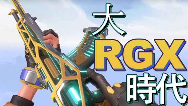 RGXヴァンダルスキンだけ明らかに当て感が良い Valorant Montage