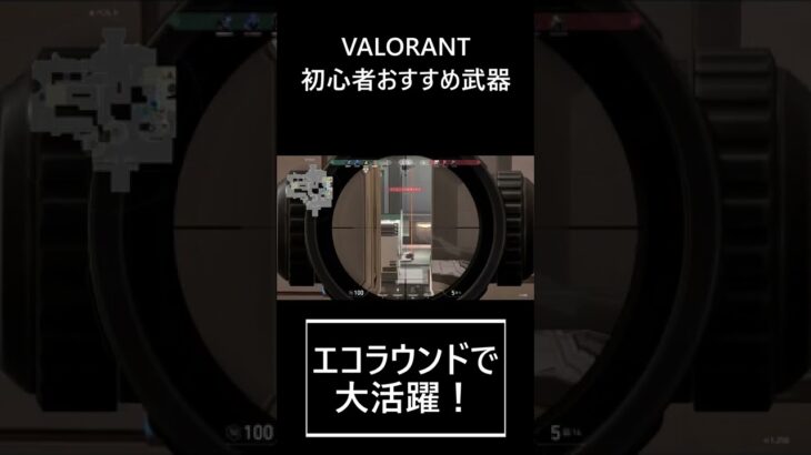 エコラウンドおすすめ初心者武器【VALORANT/ヴァロラント】 #Shorts