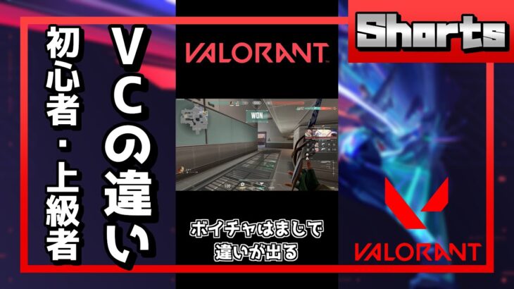 【VALORANT】初心者と上級者のVCの違い #Shorts【ヴァロラント】