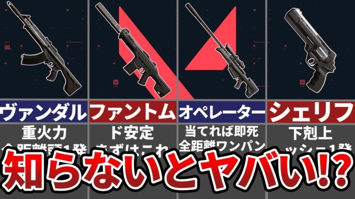 【ゆっくり解説】ヴァロラント　初心者向け　おすすめ武器5選　【VALORANT】