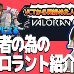 【VALORANT】ヴァロラント初心者の為の動画　今からでも遅くない ヴァロラントを楽しく見るために!!【SPYGEA/スパイギア】