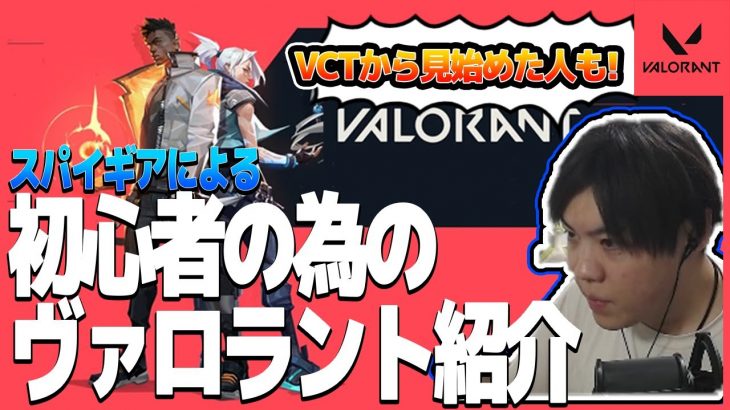 【VALORANT】ヴァロラント初心者の為の動画　今からでも遅くない ヴァロラントを楽しく見るために!!【SPYGEA/スパイギア】