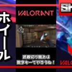 【VALORANT】武器切り替えをホイールでやってはいけない理由 #Shorts【ヴァロラント】