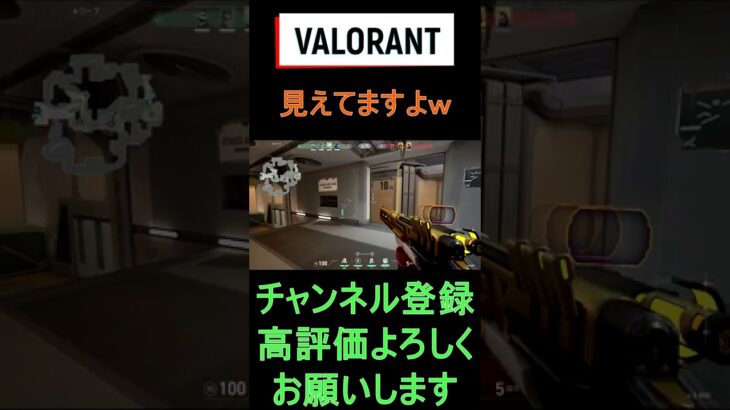 意外と見えるんですねｗ【ヴァロラント/VALORANT】